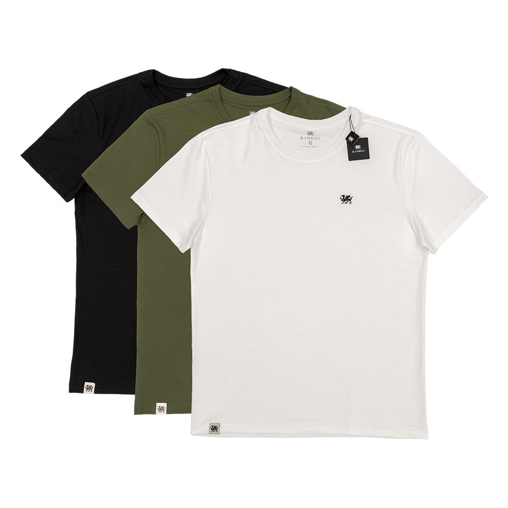 Camisetas básicas em três cores